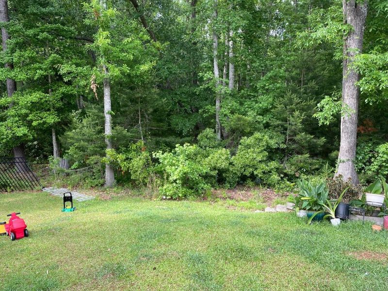 3848 Tupelo Branch Row, Mount Pleasant, SC 29429