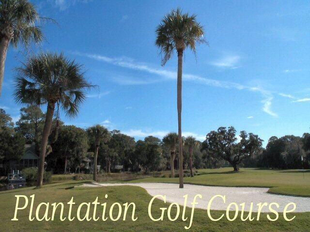 32 Whalers Ct, Edisto Island, SC 29438