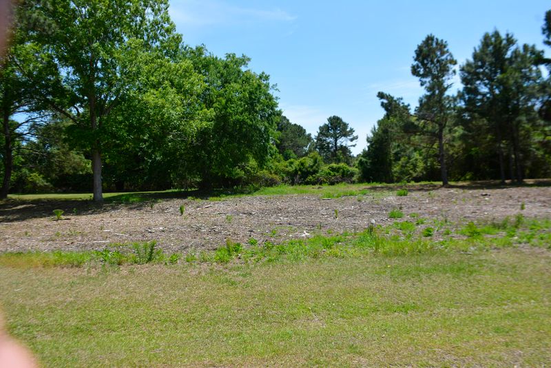 42 Blackbear Dr, Edisto Island, SC 29438