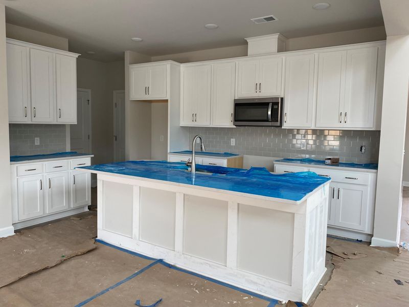 203 Grappa Way, Summerville, SC 29486
