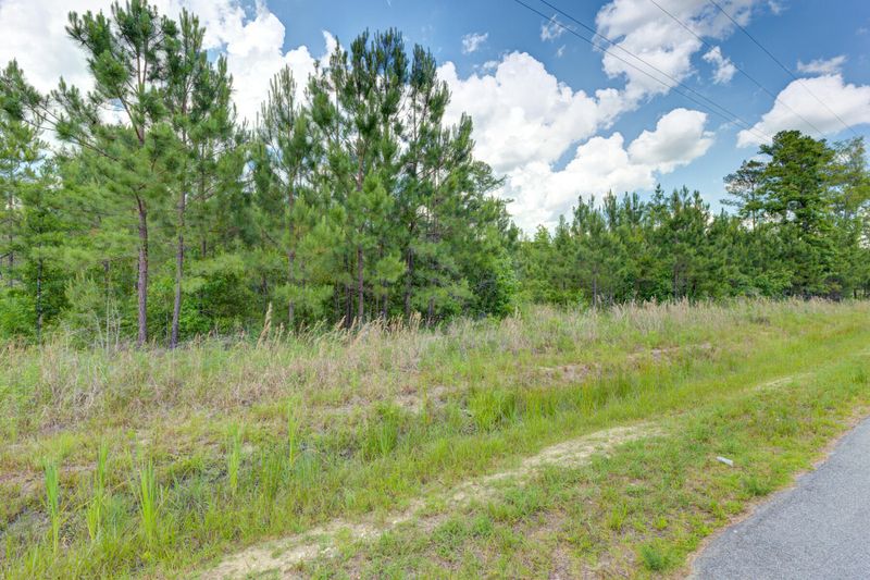 0 Spring Pond Rd, Bonneau, SC 29431