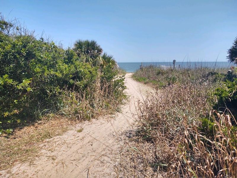 1005 Byrd St, Edisto Beach, SC 29438