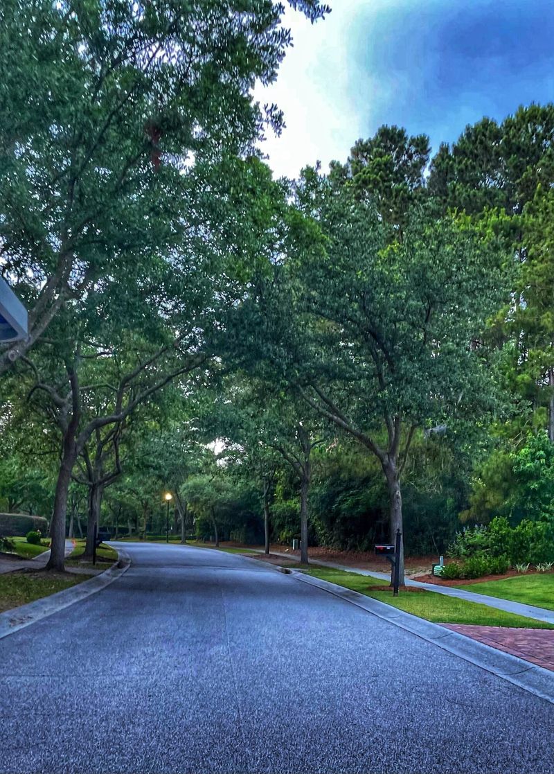 754 Olde Central Way, Mount Pleasant, SC 29464