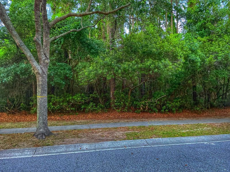 754 Olde Central Way, Mount Pleasant, SC 29464