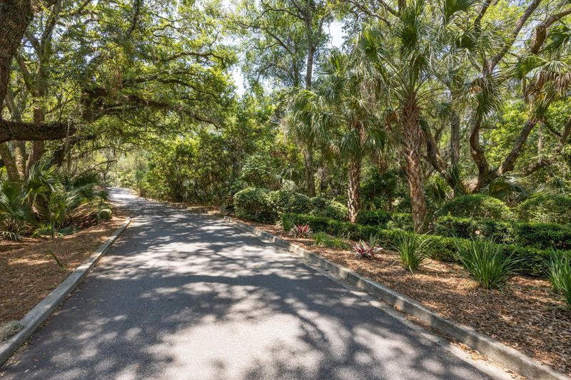 Lot 2 Oyster Catcher Ct, Seabrook Island, SC 29455
