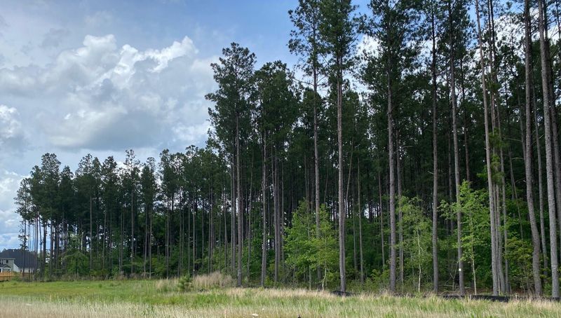 580 Dunswell Dr, Summerville, SC 29486