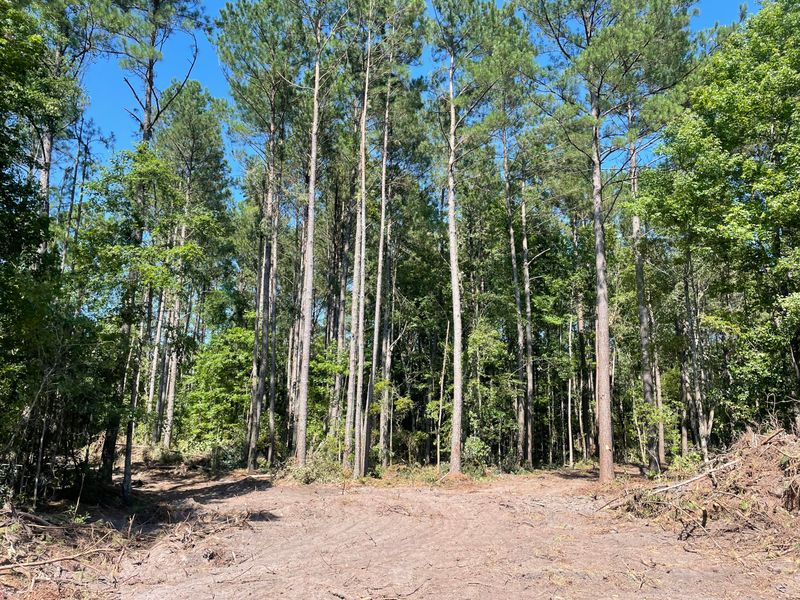 0 Old Oak Hill, Shulerville, SC 29453