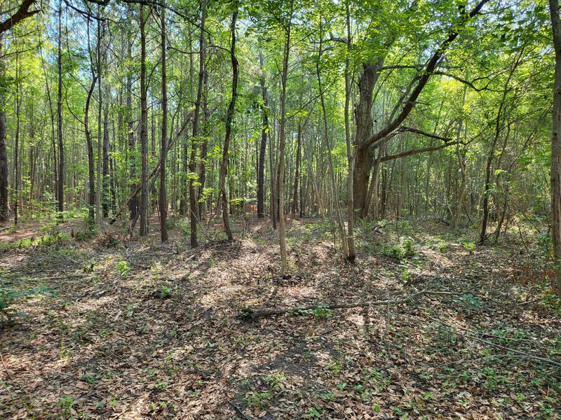 0 Old Mill Rd, Saint Stephen, SC 29479