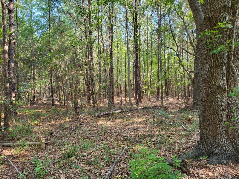 0 Old Mill Rd, Saint Stephen, SC 29479
