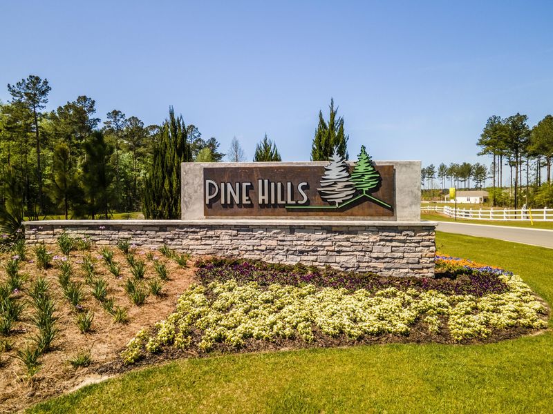 259 North Light Way, Summerville, SC 29486