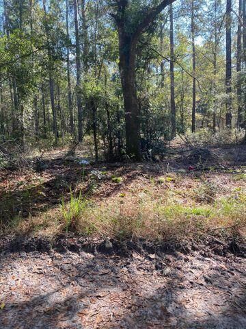 0 La Dolce Ave, Ridgeville, SC 29472