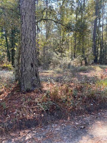 0 La Dolce Ave, Ridgeville, SC 29472