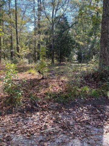 0 La Dolce Ave, Ridgeville, SC 29472