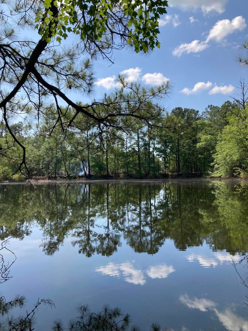 0 Fireman Dr, Ravenel, SC 29470