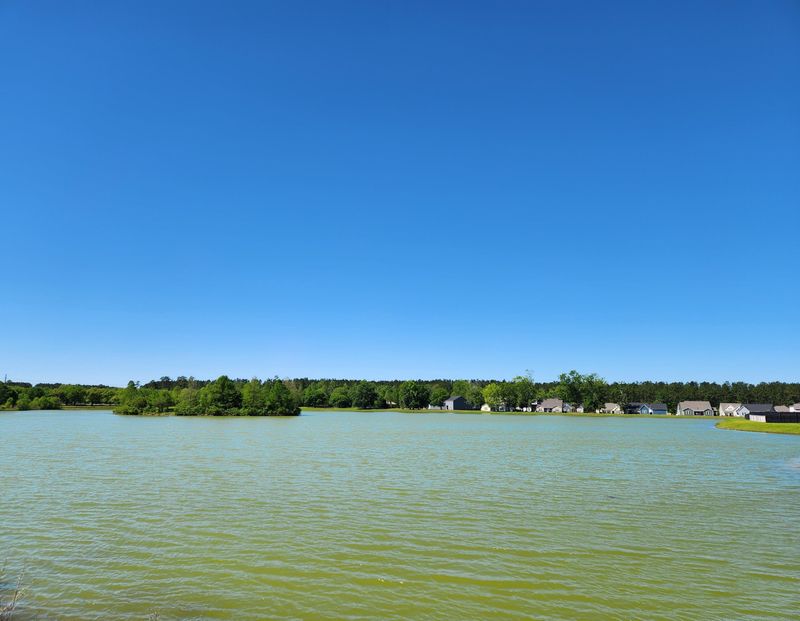 114 Augusta Pass Dr, Ridgeville, SC 29472