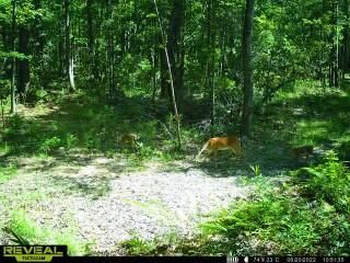 0 Edgewater Rd, Pineville, SC 29468