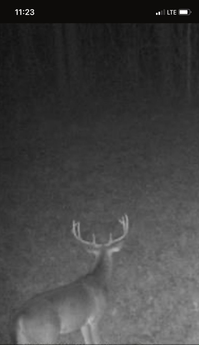 0 Edgewater Rd, Pineville, SC 29468