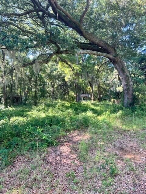 2667 Roseville Rd, Wadmalaw Island, SC 29487