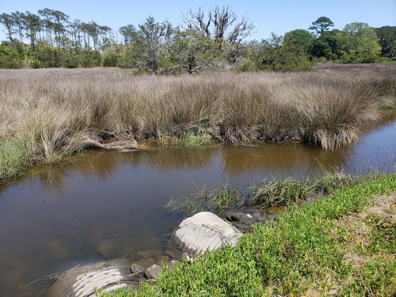 722 Crisp Rd, Edisto Island, SC 29438