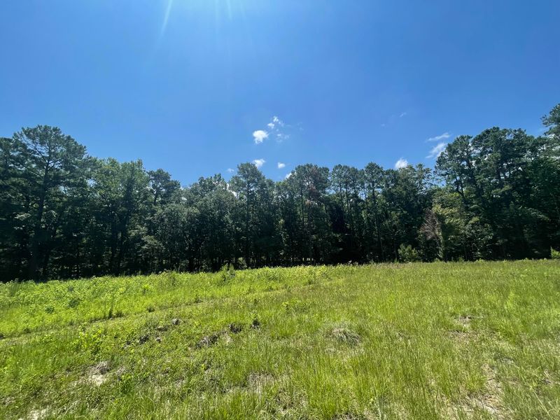 0 Wisteria Ln, Ridgeville, SC 29472