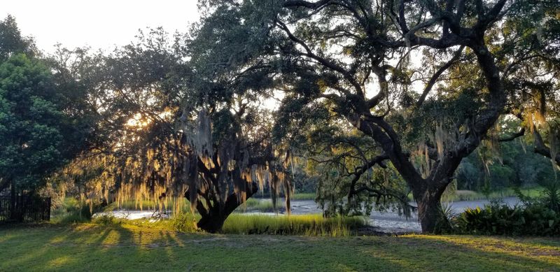 52 Chadwick Dr, Charleston, SC 29407