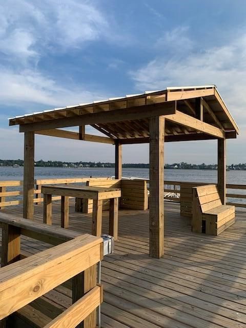 105 Low Tide Ct, Charleston, SC 29492