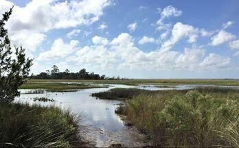 4778 Westervelt Rd, Meggett, SC 29449