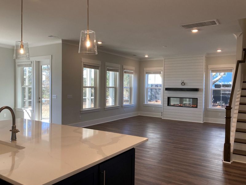 1687 Langur Ct, Mount Pleasant, SC 29466
