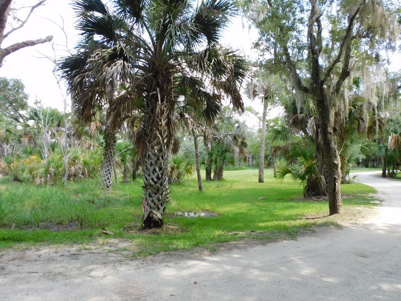 941 Hammocks Way Lot 39, Edisto Island, SC 29438