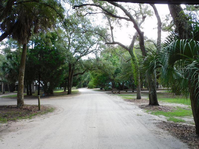 941 Hammocks Way Lot 39, Edisto Island, SC 29438