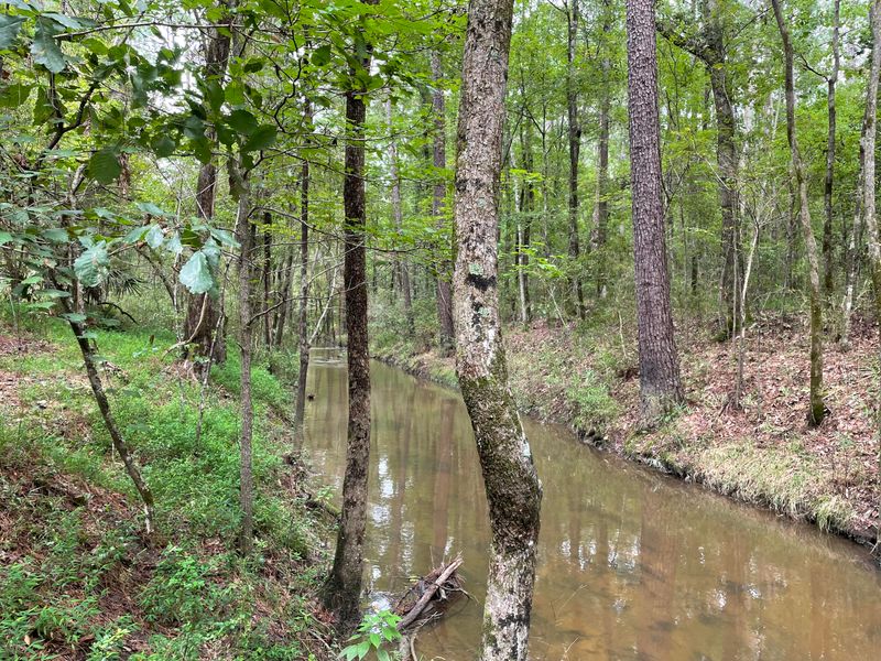 0 Sampson Rd, Ridgeville, SC 29472