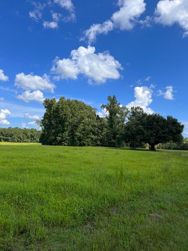 136 Rossie Gatlin Ln, Bonneau, SC 29431