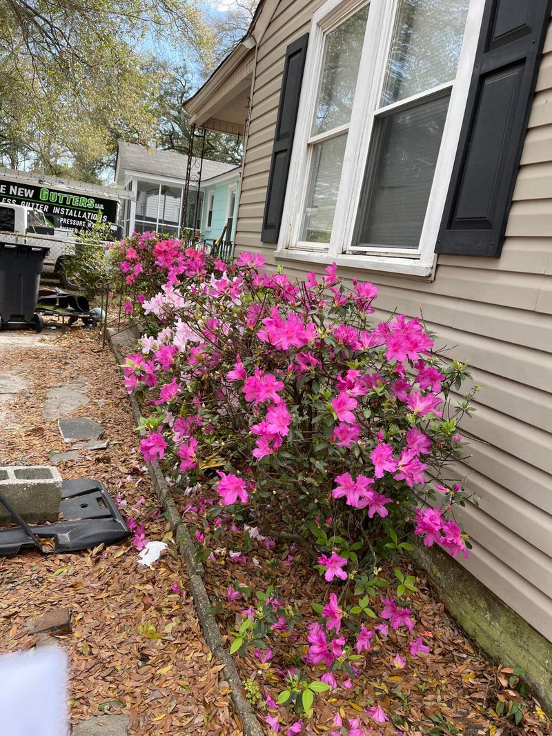 2326 Sorentrue Ave, North Charleston, SC 29405