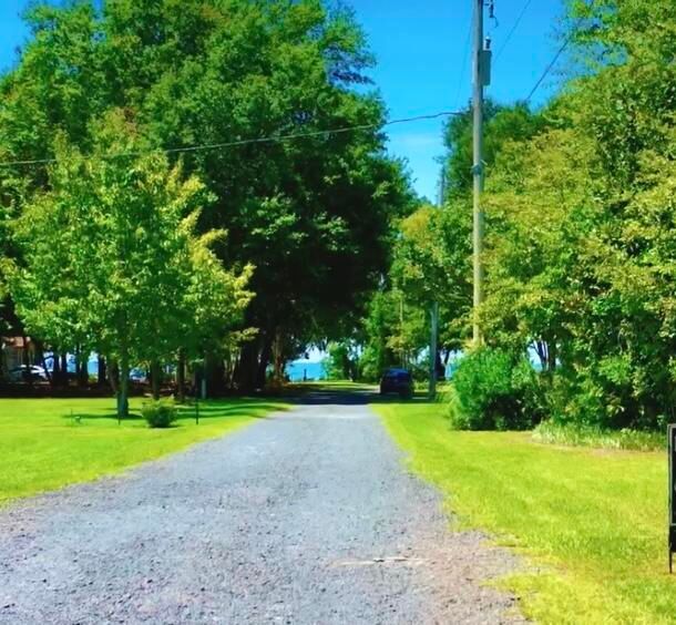102 Chapel Hill Dr, Bonneau, SC 29431