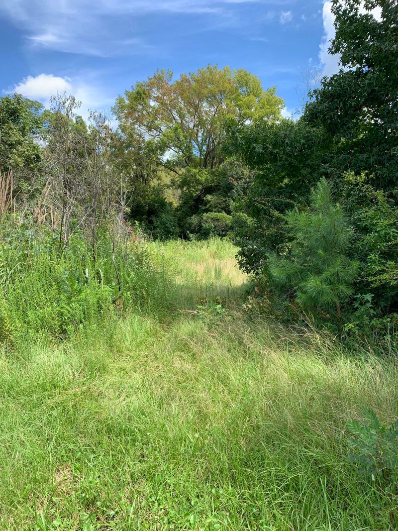 1498 Big Creek Rd, Edisto Island, SC 29438