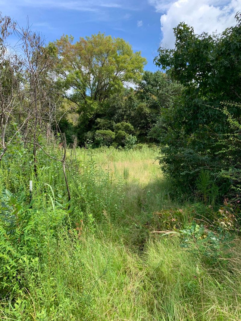 1498 Big Creek Rd, Edisto Island, SC 29438