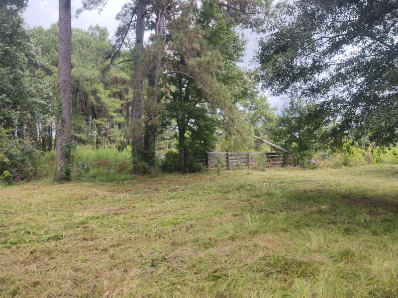 0 Radio Rd, Saint George, SC 29477