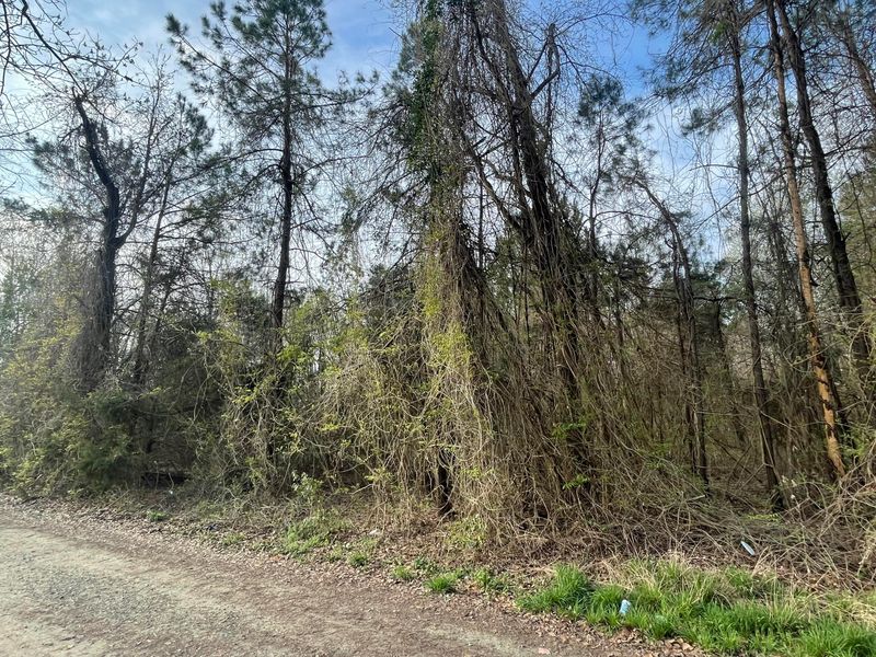 00 Acline Ave, Saint Stephen, SC 29479