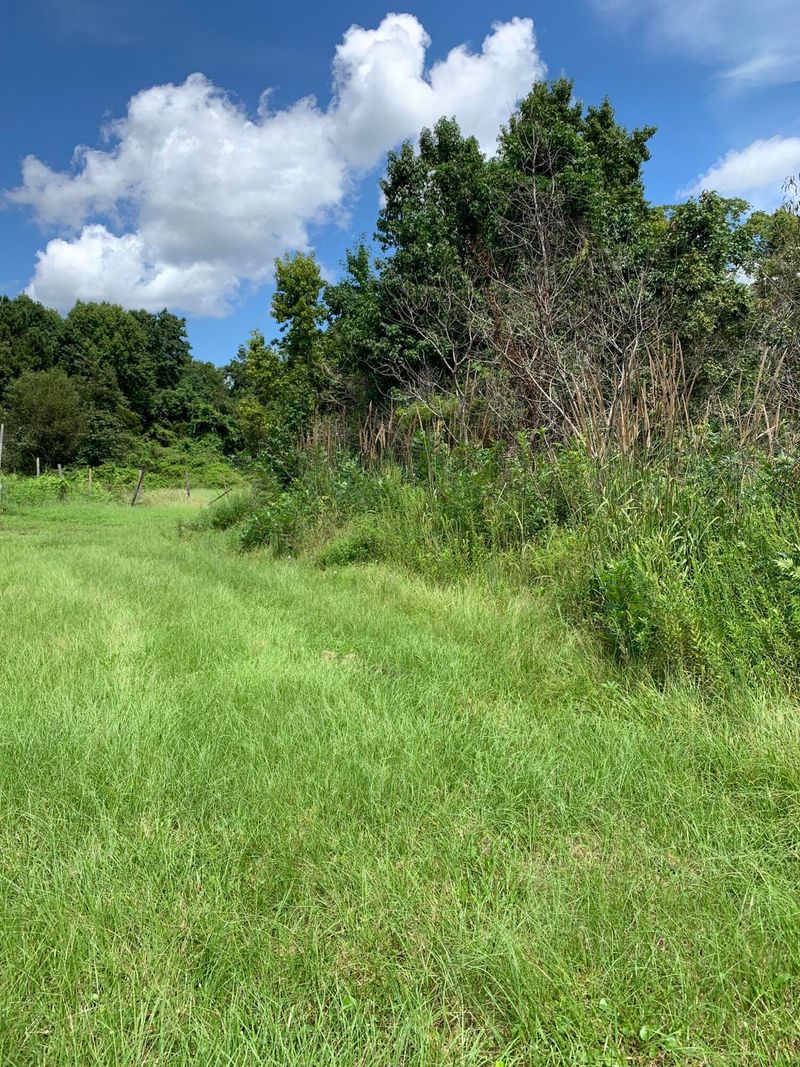 1486 Ochella Creek Ct, Edisto Island, SC 29438
