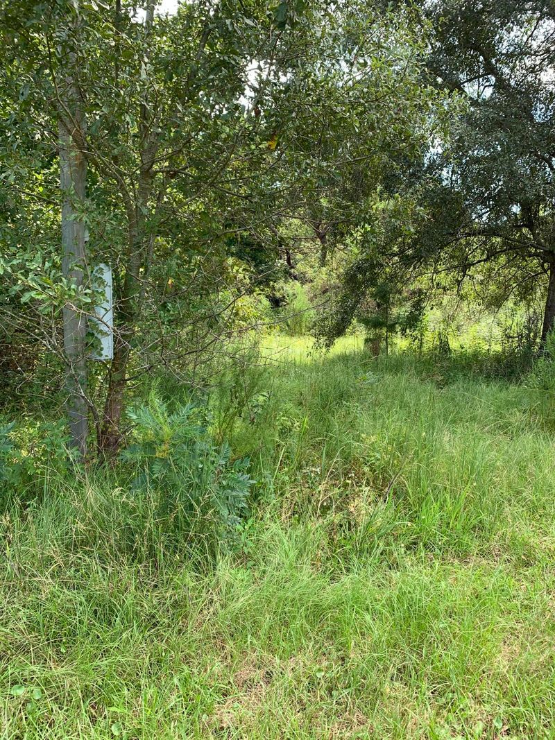 1486 Ochella Creek Ct, Edisto Island, SC 29438