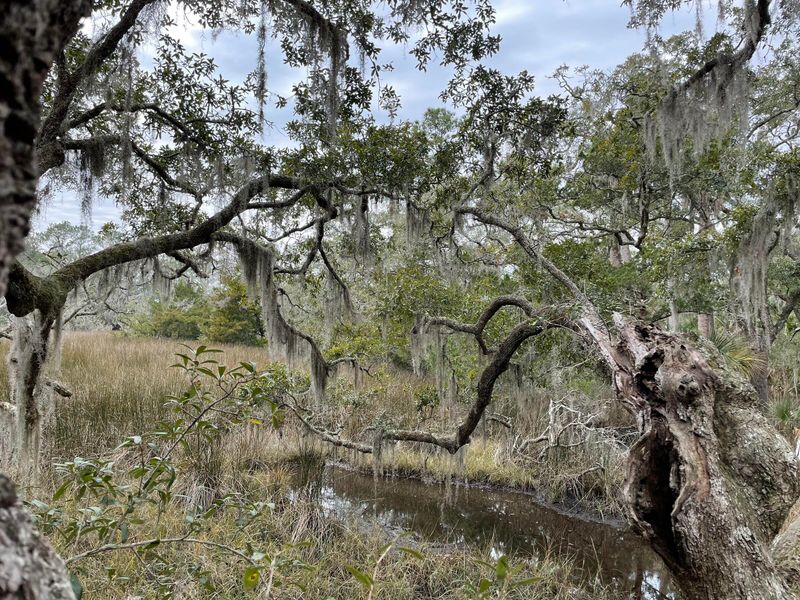 8456 St Pierre Creek Dr, Edisto Island, SC 29438