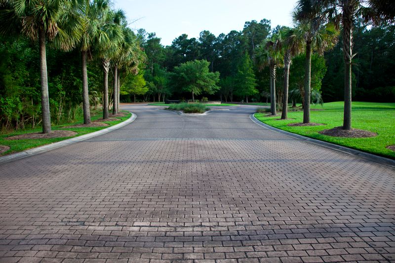 1005 Beak Rush Ct, Moncks Corner, SC 29461
