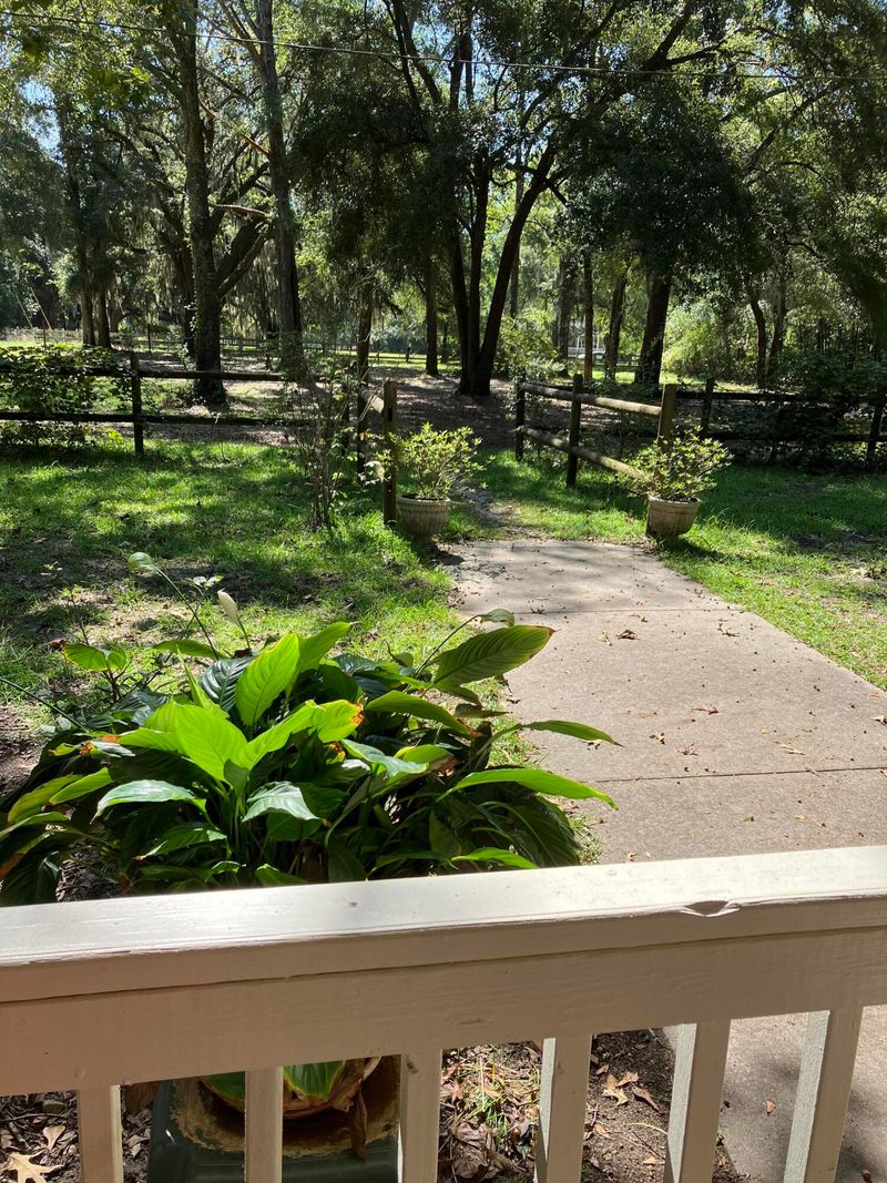 5620 Katy Hill Rd, Wadmalaw Island, SC 29487