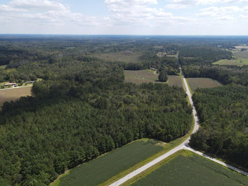 0 Daniel Betty Rd, Saint George, SC 29477