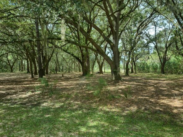8450 St Pierre Creek Dr, Edisto Island, SC 29438