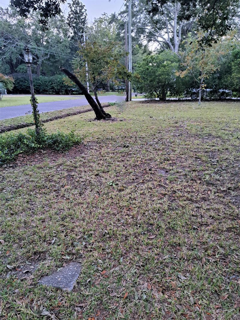 1737 Afton Ave, Charleston, SC 29407