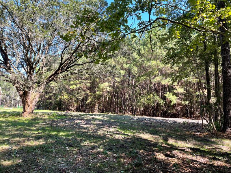 6 Sampson Rd, Ridgeville, SC 29472