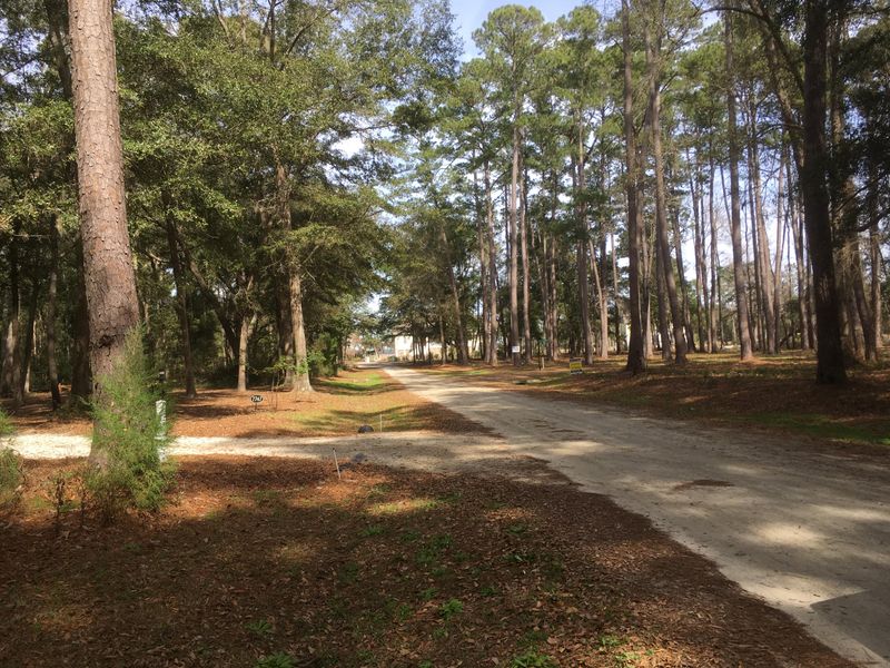 20 Chaplin Garden Ln, Edisto Island, SC 29438