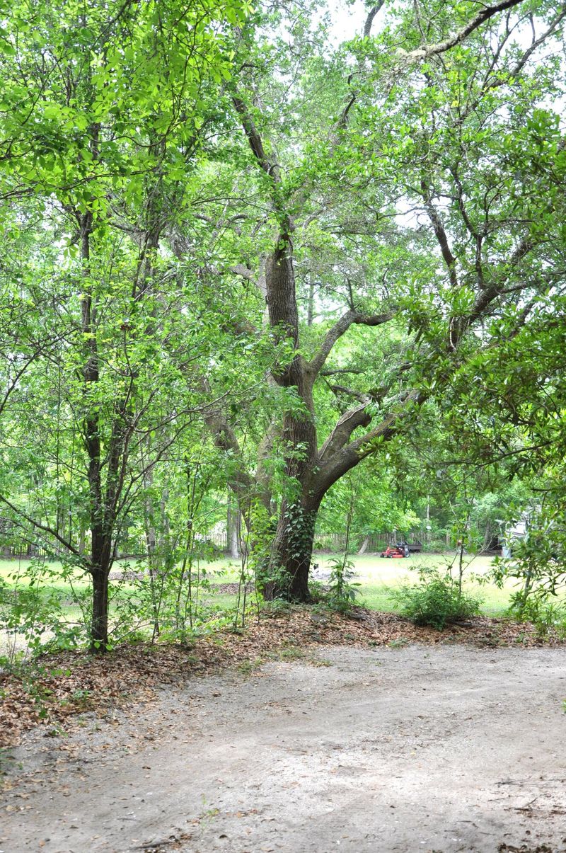 2475 Marina Rd, Wadmalaw Island, SC 29487