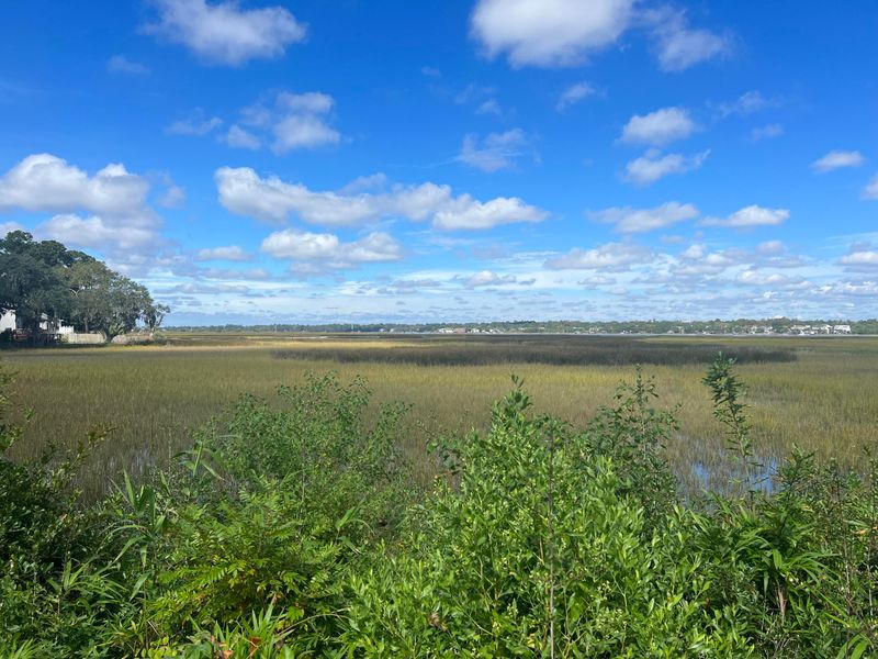 2124 Coffey Ct, Charleston, SC 29414